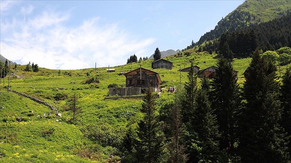 Karadeniz`in yeni gzdesi Elevit Yaylas ziyaretilerine adeta nefes oluyor