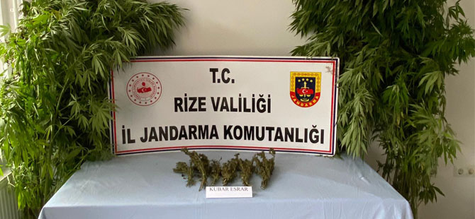 Rize`de 93 kk kenevir ele geirildi